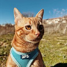 Michi amor . Photograph, Portrait Photograph, Lifest, le Photograph, Instagram Photograph, Documentar, and Photograph project by Virginia Lara - 12.09.2024
