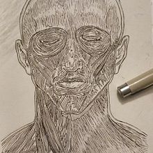 Músculos de la cabeza y el cuello. Ink Illustration, Figure Drawing, and Portrait Drawing project by C.P. Romero - 12.14.2024