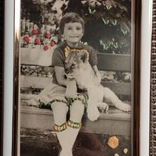 Brave . % Corina Assmann tarafından hazırlanan Kendin Yap, Nakış, Kağıt El Sanatları, Fotoğrafçılık, Ve Tekstil Tasarımı projesi - 12.15.2024