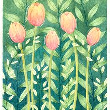 Tulipanes. Watercolor Painting project by Ana Hernández - 12.16.2024