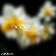 Proyecto final. Br, ing, Identit, Graphic Design, Social Media Design, and Web Design project by asst_majosgrowth - 12.16.2024