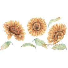 Girasoles. Un progetto di Pittura ad acquerello di Ana Hernández - 16.12.2024