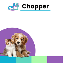 Chopper Ein Projekt aus dem Bereich UX / UI und Webdesign von programmerprojectmari - 17.12.2024