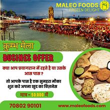 Frozen food companies in India. Business project by info_foodsmaleo - 12.17.2024
