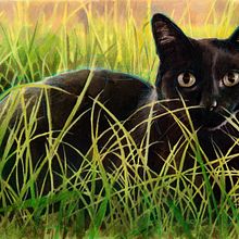 Black cat on the grass realistic portrait drawing. Un proyecto de Ilustración tradicional, Dibujo, Artesanía, Ilustración con tinta, Ilustración naturalista				, Ilustración botánica, Ilustración editorial, Dibujo con lápices de colores, Dibujo a lápiz, Dibujo de Retrato, Dibujo artístico y Dibujo realista de Mentiradeloro Esther Cuesta - 19.12.2024