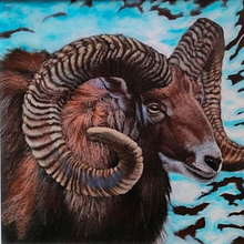 Animal Art - Acrylics on Canvas board. Traditional illustration, Drawing, and Painting project by Muktesh Tyagi - 12.22.2024