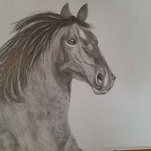 My project for Cole's Course. Drawing, Fine Arts, Naturalistic Illustration, Pencil Drawing, and Realistic Drawing project by rjmarley2 - 12.23.2024