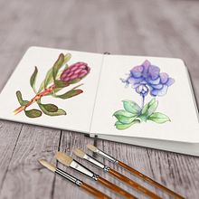 My Botanical Sketches Created With A Meditative Approach. Sketching, Drawing, Traditional illustration, Botanical Illustration, Watercolor Painting, and Sketchbook project by humanetiger - 12.24.2024
