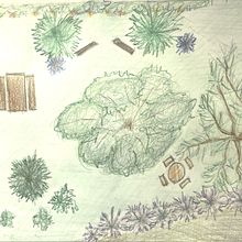 Disegno il mio giardino. Een project van Bloem- en plantenschikken, L, scaping y Ruimtelijk ontwerp van Tiziana Tesio - 25.12.2024