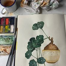 Watercolour practice no1. Fine Arts, Drawing, Traditional illustration, Painting, Watercolor Painting, and Botanical Illustration project by skubanero - 12.26.2024