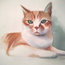 Mi proyecto de curso "Mixeta" . Un proyecto de Ilustración tradicional, Pintura a la acuarela, Bellas Artes e Ilustración naturalista				 de Mercè Campo Andreu - 26.12.2024