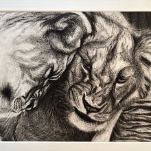 Lions. Fine Arts, and Drawing project by magdalena_maria - 12.26.2024