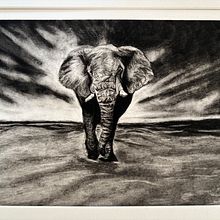 Elephant. Drawing, and Fine Arts project by magdalena_maria - 12.26.2024