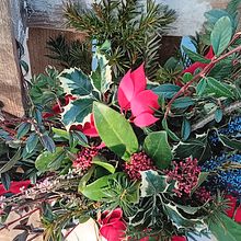 PROGETTO FINALE. Een project van  Interieurdecoratie, DIY, Bloem- en plantenschikken y  Interieur van Tiziana Tesio - 28.12.2024