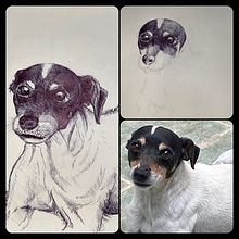 My Dog. Un progetto di Disegno, Disegno realistico, Illustrazione tradizionale e Illustrazione naturalistica di Camilo Muñoz - 29.12.2024