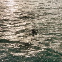 As Eternas 6 Horas. Projekt z dziedziny Postprodukcja audio-wideo, Kino, film i telewizja, Realizacja audio-wideo i Film użytkownika Anna Klara Rocha Braga - 29.12.2024