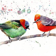 Una coppia di uccelli dalle piume colorate. Traditional illustration, Watercolor Painting, Realistic Drawing, and Naturalistic Illustration project by vik_011 - 12.29.2024