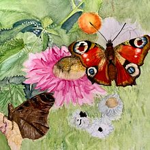 Butterflies and flowers. Botanical Illustration, Traditional illustration, Naturalistic Illustration, Sketchbook, and Watercolor Painting project by Didier Van Impe - 12.29.2024