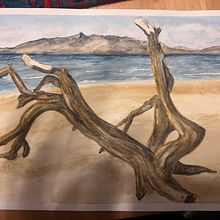 Driftwood on Ardeer Beach. Watercolor Painting project by Grant Francis - 12.30.2024