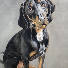 Leroy. Un progetto di Belle arti, Illustrazione naturalistica, Pittura ad olio e Pittura di Ellen Bonney - 30.12.2024