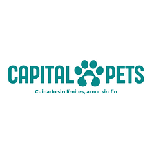 DRAGON STRATEGY CAPITAL PETS. Instagram, Marketing, Content Marketing, Digital Marketing, Social Media, Communication, Instagram Marketing, Br, and Strateg project by Paula Andrea Parra Abril - 12.31.2024