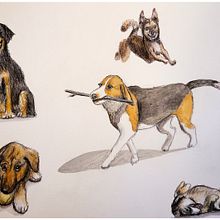 Abschlussprojekt Aufgaben des Onlinekurses *Spezialisierung in Sketching-Techniken*. Projekt z dziedziny Sketching, R, sunek botaniczn, Ilustracje dla dzieci,  R, sunek atramentem, Ilustracja naturalist, czna,  R, sunek architektoniczn,  R, sunek art, st, czn, Projektowanie postaci, R, sowanie kredkami, Kreat, wność,  R, sunek, R, sunek anatomiczn,  Sztuki piękne, Malowanie gwaszami, R, sunek ołówkiem, Portret, R, sunek realist, czn, Trad, c, jna ilustracja i Malowanie akwarelą użytkownika Marleen Utech - 01.01.2025