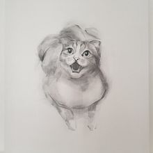 My cat Moody meowing. Drawing, Fine Arts, Portrait Drawing, and Naturalistic Illustration project by Migyeong Kang - 01.01.2025