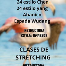 pagina web . Marketing de conteúdo, Fotografia para Instagram, e Vídeo projeto de carolina martinez - 02.01.2025