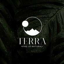 Proyecto Branding Terra. Br, ing, Identit, Art Direction, and Graphic Design project by zab_cruise95 - 01.02.2025