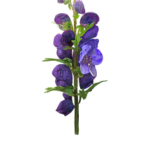 Tojad/ aconite. Digital Illustration, Graphic Design, and Drawing project by Kaja Kosiorowska - 01.02.2025