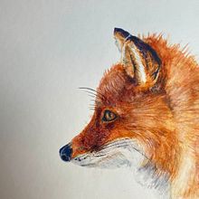 Watercolour realistic . Realistic Drawing, Traditional illustration, Naturalistic Illustration, and Watercolor Painting project by Nelly Marre - 01.03.2025