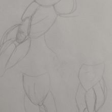 Practica de anatomía del curso . Comic, Pencil Drawing, Character Design, Traditional illustration, and Figure Drawing project by Cristian Silva - 01.03.2025