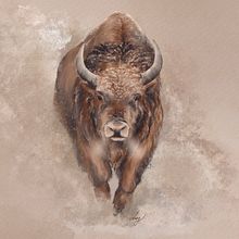 Spirit of the west. Un progetto di Illustrazione digitale di Mary-Pier St-laurent - 03.01.2025