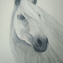 Mój projekt z kursu: Ekspresyjne portrety zwierząt w akwareli. Un projet de Dessin réaliste, Illustration traditionnelle, Illustration naturaliste , et Aquarelle de Aga - 03.01.2025