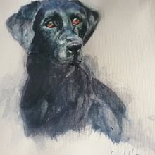 perro en difuso. Realistic Drawing, Traditional illustration, Naturalistic Illustration, and Watercolor Painting project by Luis Venegas - 01.03.2025