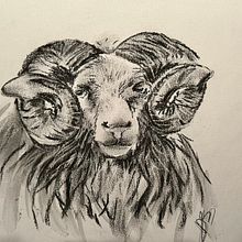 projet au fusain. Un proyecto de Dibujo, Ilustración con tinta, Ilustración naturalista				 y Bellas Artes de sarondelph - 04.01.2025