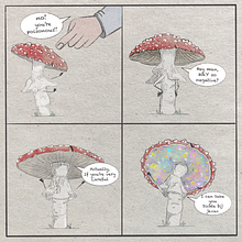 Amanita muscaria. Projekt z dziedziny Ilustracja c, frowa,  R, sunek, Projektowanie graficzne, Design, Projektowanie postaci, Stor, telling, Kreat i wność użytkownika Lucia Victoria - 04.01.2025