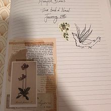 Marigold's Bloom. . Creativit, Writing, Narrative, Stor, telling, Fiction Writing, and Creative Writing project by Maria Salazari - 01.06.2025