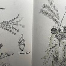 My project: thanks to Vorja Sánchez's excellent course!. Drawing, Naturalistic Illustration, Pencil Drawing, Sketchbook, and Watercolor Painting project by miss_chanoille - 01.06.2025