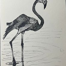 Sketch Object from reference - My Flamingo. Sketching, Creativit, Drawing, Traditional illustration, and Sketchbook project by gncontv - 01.08.2025