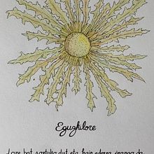 Eguzkilore - Lore bat sortuko dut, Eguzki bera delakoan.. Un proyecto de Ilustración tradicional, Dibujo, Artesanía, Diseño gráfico, Bellas Artes, Diseño, Pintura, Creatividad, Lettering, Dibujo a lápiz, Tipografía, Instagram, Ilustración naturalista				, H, lettering, Dibujo artístico, Ilustración botánica, Caligrafía, Diseño floral, vegetal y Dibujo con lápices de colores de Mikel Urtasun Osacar - 08.01.2025