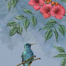 Hummingbird and red trumpet vine. Projekt z dziedziny R, sunek botaniczn, Ilustracja c, frowa, Trad, c, jna ilustracja,  R, sunek atramentem, Ilustracja naturalist, czna,  Malarstwo i Malowanie akwarelą użytkownika Cher Cowan - 08.01.2025
