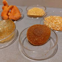 Mandarin orange biomaterial. Arts, Crafts, and DIY project by tfverburg - 01.09.2025