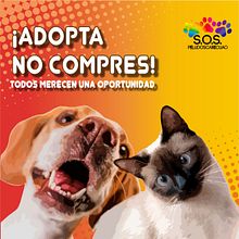 ¡Adopta, no compres!. Br, ing e Identidade, Design, Design gráfico, Design de logotipo, e Tipografia projeto de Ariana Delfín Guédez - 09.01.2025