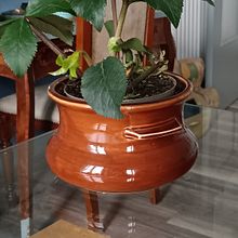 Decorazione  vegetale delle casa. Een project van  Interieurdecoratie, Bloem- en plantenschikken,  Interieur y Ruimtelijk ontwerp van Tiziana Tesio - 10.01.2025