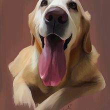 Lenguas. Un progetto di Illustrazione digitale e Illustrazione tradizionale di Valeria Rodriguez - 11.01.2025