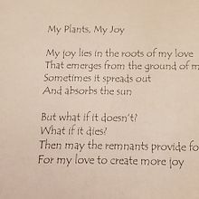 My Course Project: My Plants, My Joy. Un proyecto de Escritura creativa, Creatividad, Redes Sociales y Escritura de Sydney Herrington - 11.01.2025