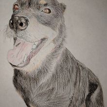 proyecto final del curso. Traditional illustration, and Naturalistic Illustration project by José Bazán - 01.12.2025