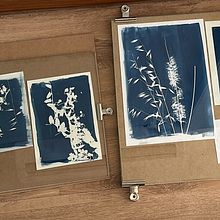 Cianotipia en Curicó. Arts, Crafts, Fine Arts, Printing, Film Photograph, and DIY project by vipobleter - 01.13.2025
