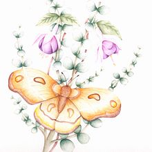 Dibujo y composición naturalista en acuarela. Projekt z dziedziny  R, sunek, Trad, c, jna ilustracja, Ilustracja naturalist, czna i Malowanie akwarelą użytkownika Camila González Acevedo - 14.01.2025